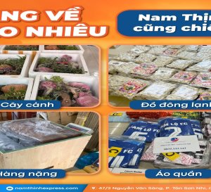 Gửi Hàng Đi Mỹ Tại Đà Nẵng